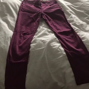 Verdugo Legging jean Paige